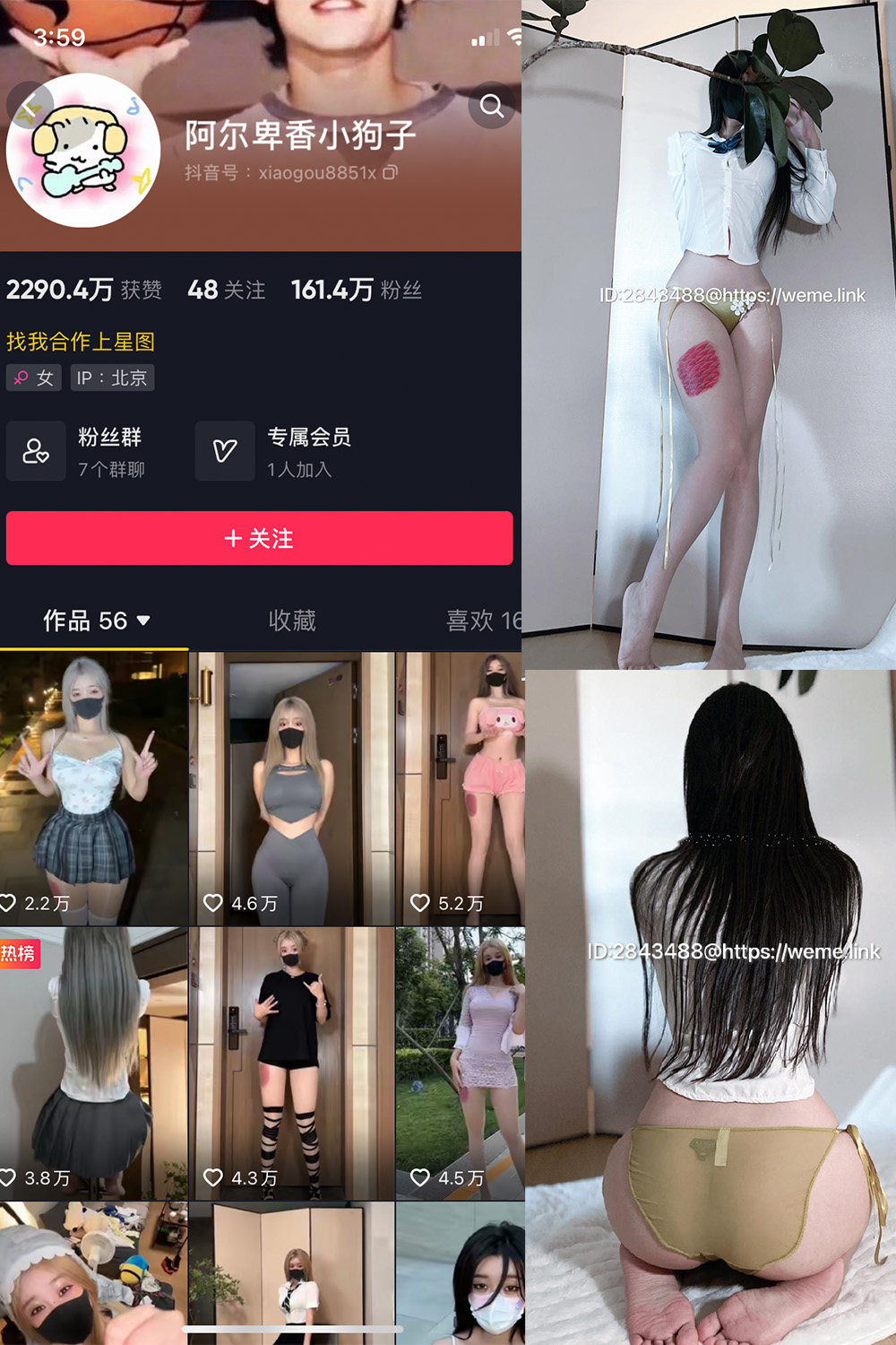 抖音 阿尔卑香小狗子 微密圈  NO.047期 【39P】最新至：2024.6.10-私募小圈