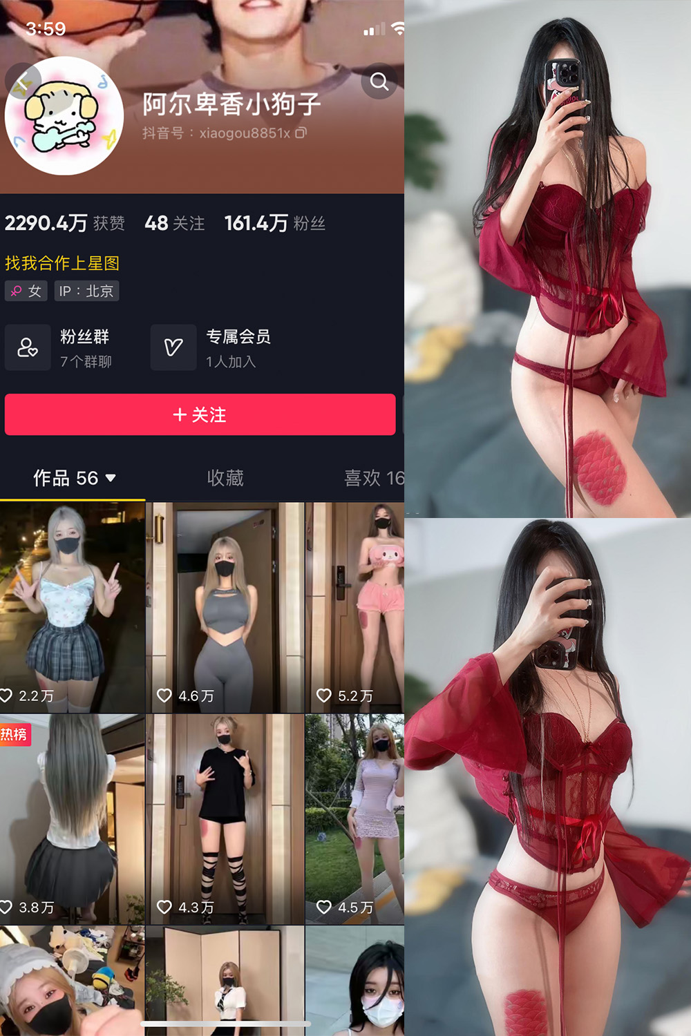 抖音 阿尔卑香小狗子 微密圈  NO.056期 【10P2V】最新至：2024.8.25-私募小圈